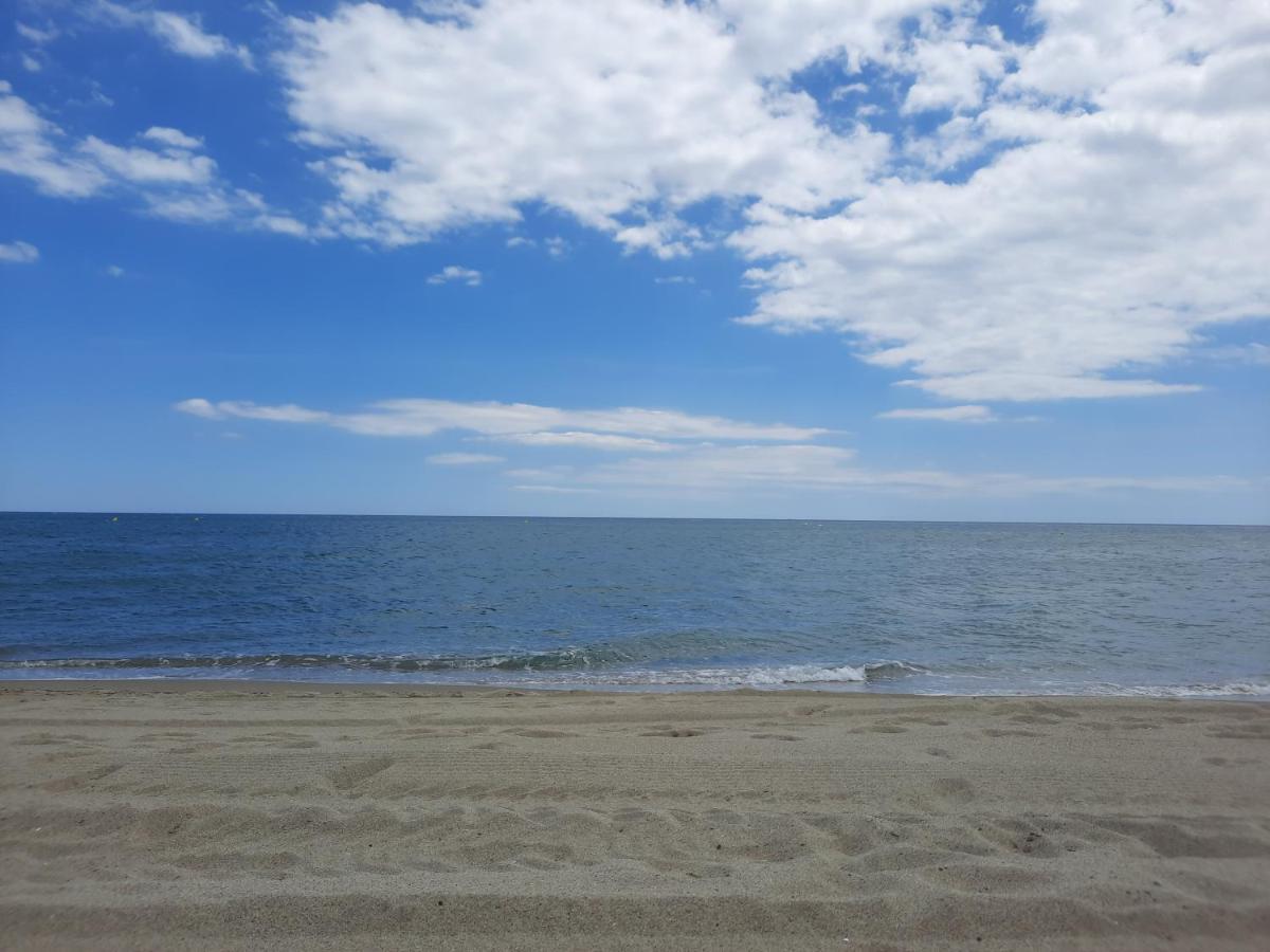 Appartement Vue Mer, Acces Direct Plage, Parking Privatif Le Barcarès Exterior foto